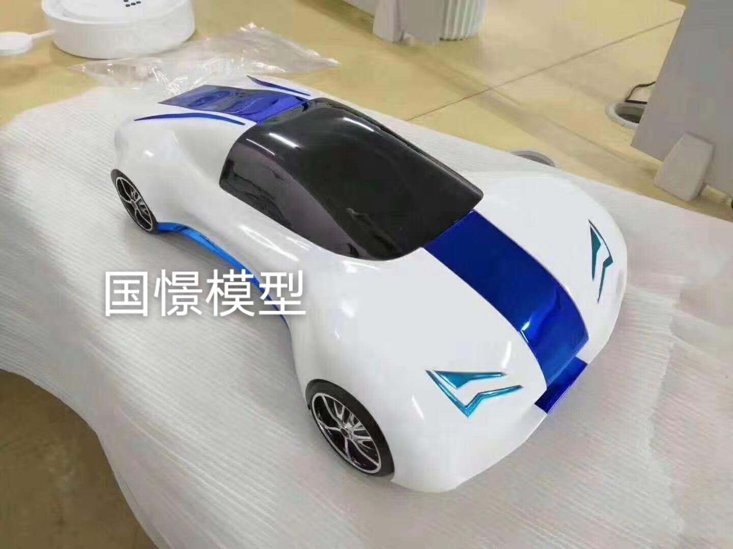 辰溪县车辆模型