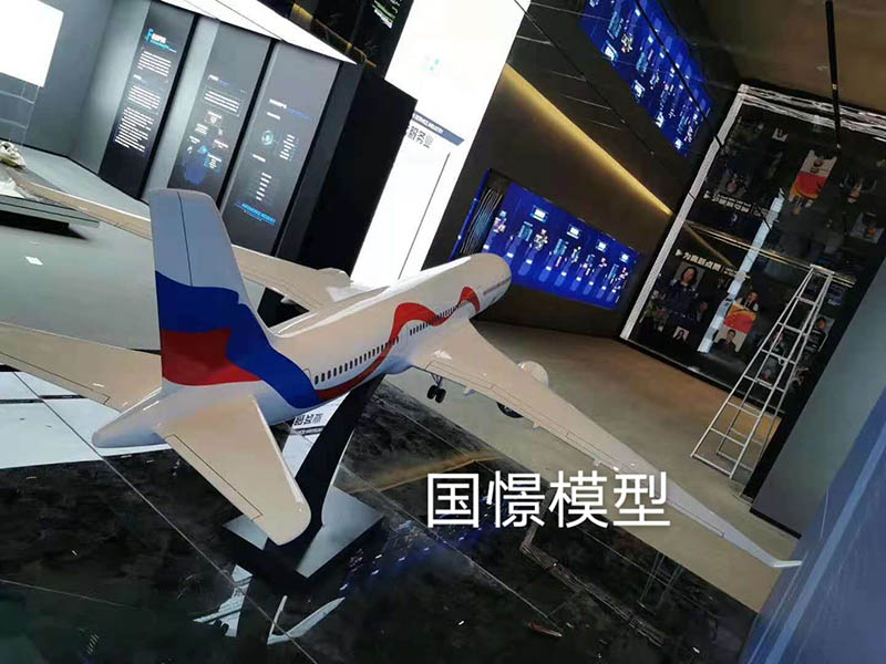辰溪县飞机模型