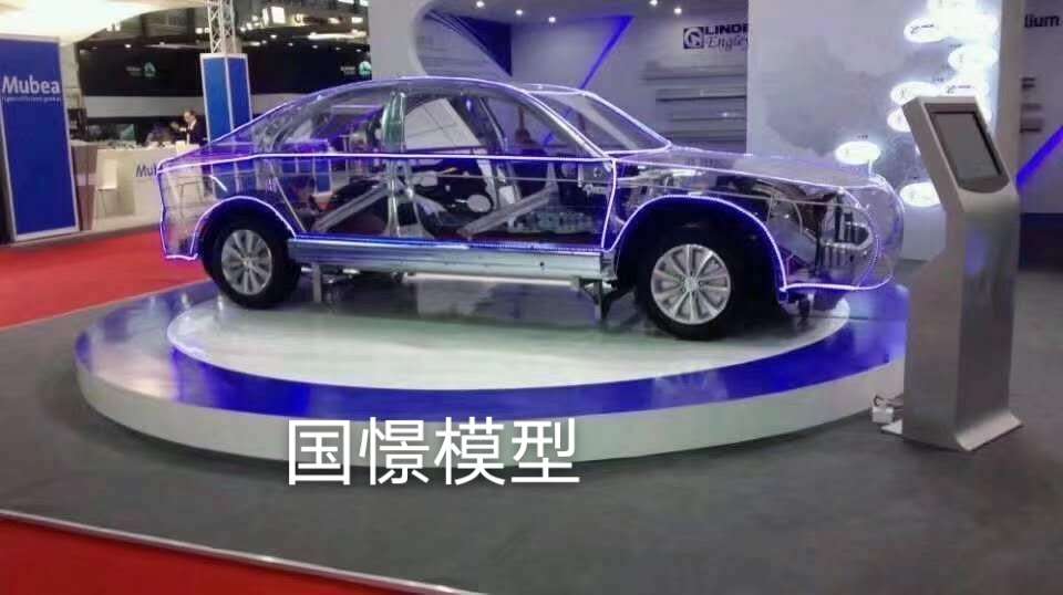 辰溪县透明车模型